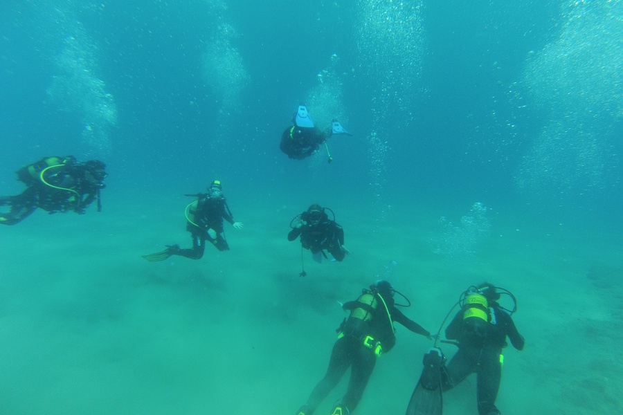Group diving