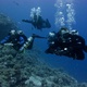 Double Dive is your chance to enjoy two successive dives at two different and exciting diving sites.

This is the perfect option if just one dive doesn&rsquo;t seem enough for you.

Double dives start at 9:00 and ...