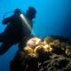 Night Dive is your chance to see the unseen &ndash; the Mediterranean waters around Torredembarra and the province of Tarragona, at night! The ocean gives a completely different show after the sun goes down. &nbsp;
...