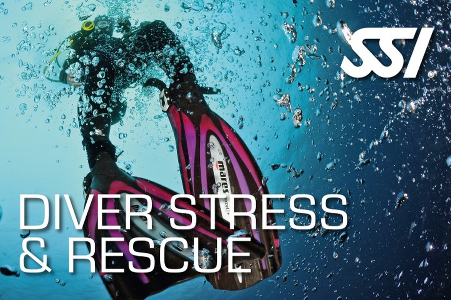 Stress and rescue SSI card