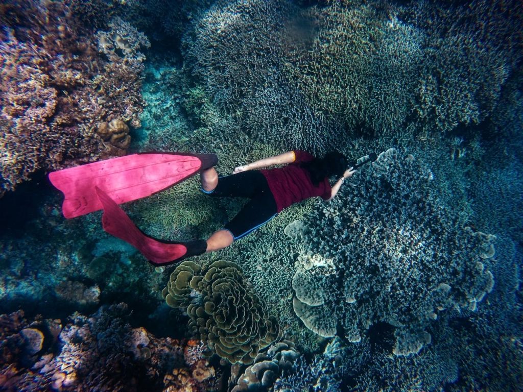 Como escoger mejor centro de buceo