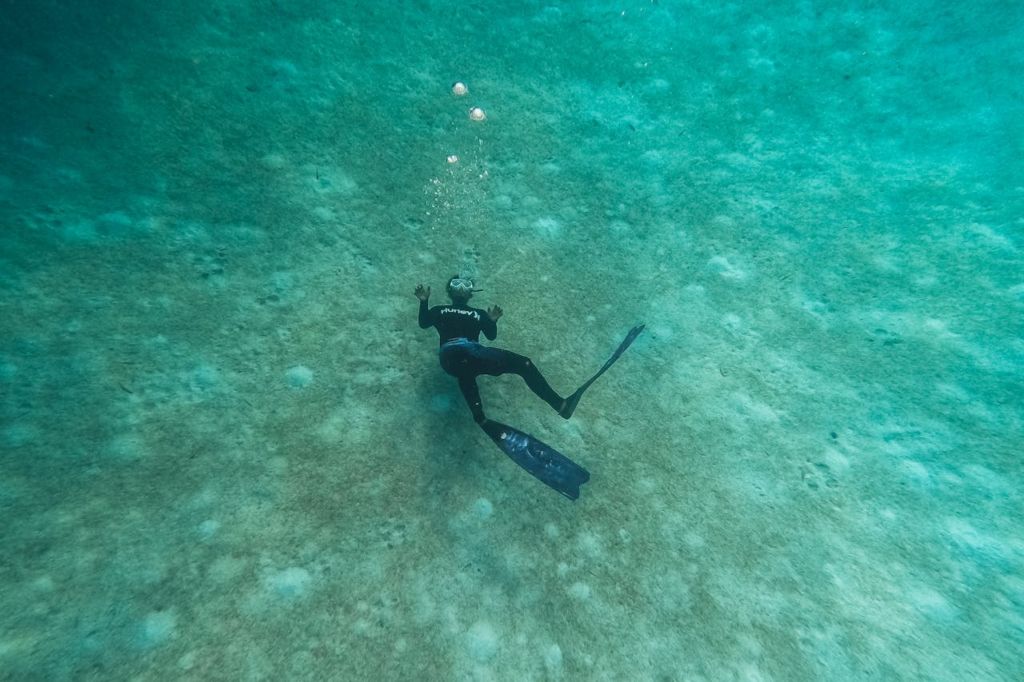 ¿Puedo Encontrar Trabajo con el Buceo?