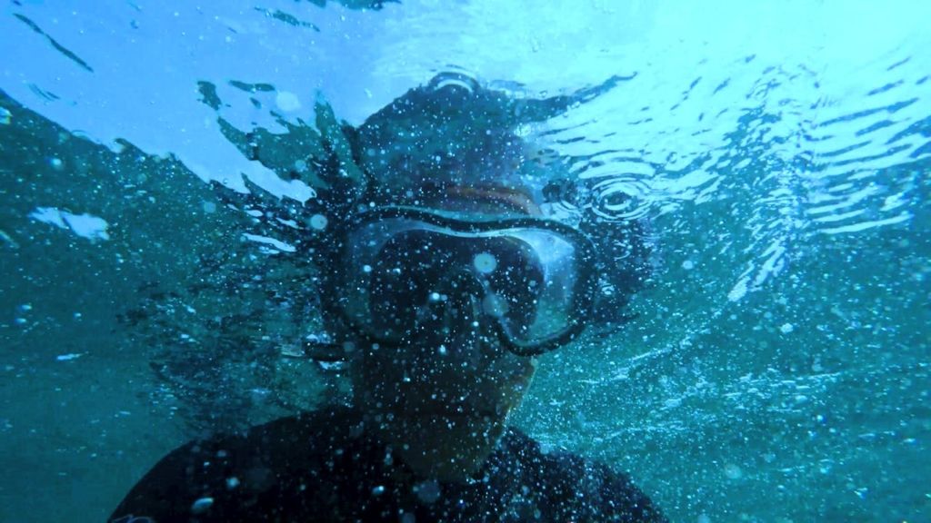 ¿Qué es el Open Water Diver?