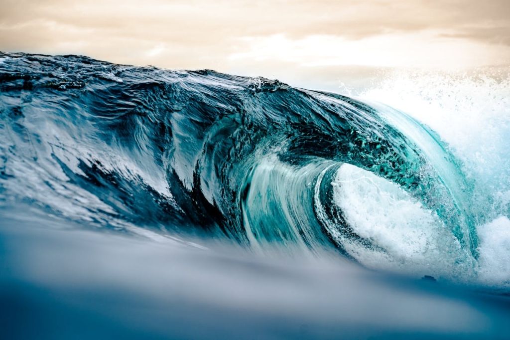 Cómo se Construyen las Olas: Un Análisis Completo