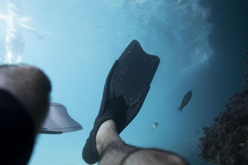 5 Claves para un Ascenso Controlado en el Buceo