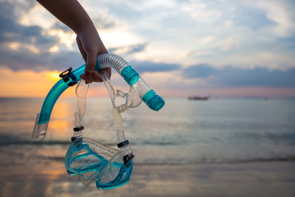 Buceo y nutrición: ¿Qué comer antes de una inmersión?