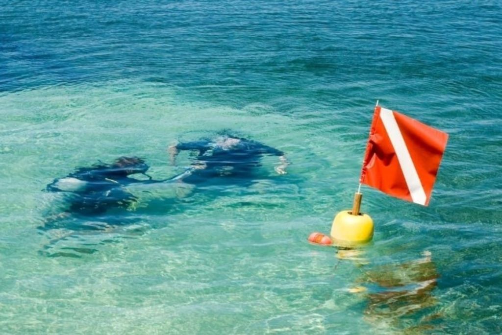 ¿Qué son las banderas y flotadores de buceo y para qué sirven?