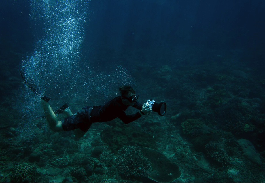 Buceo nocturno: Consejos, equipo y qué esperar bajo las estrellas