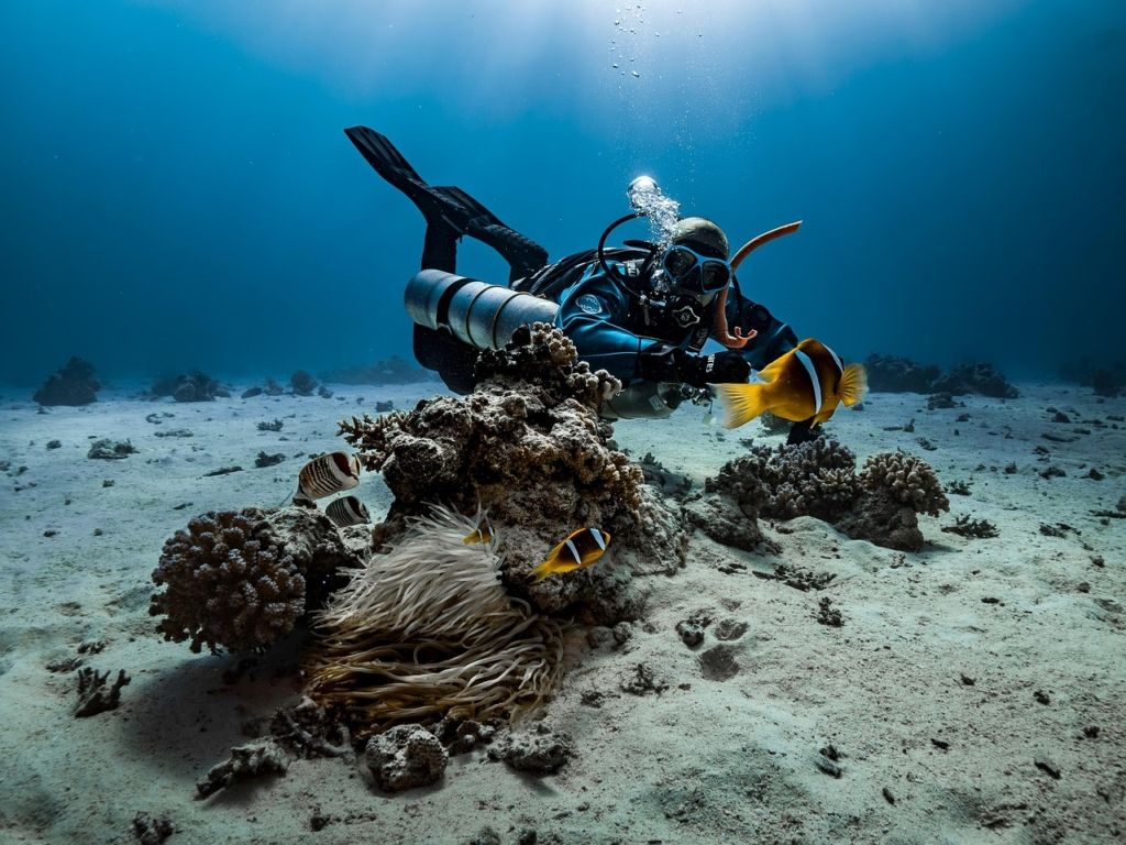 ¿Qué son los ordenadores de buceo y cómo elegir el adecuado?