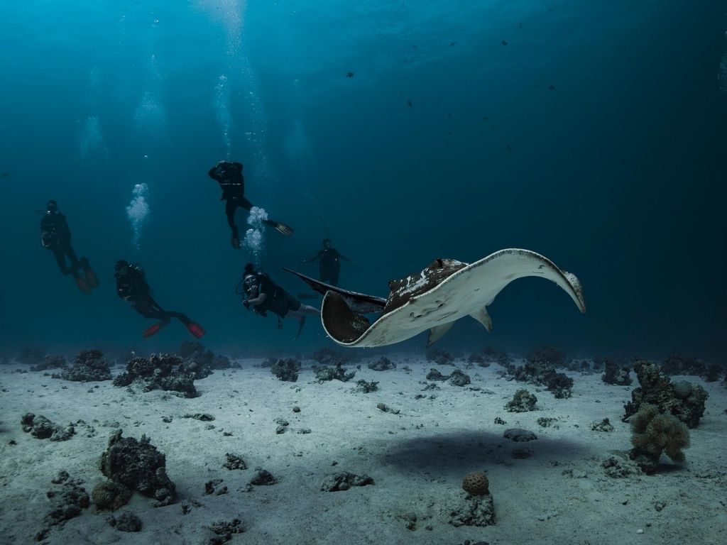 La importancia de la descompresión en el buceo: Guía completa