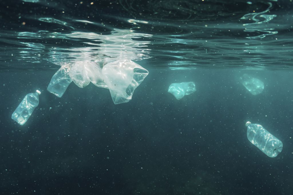 ¿Qué hacer si encuentras basura marina mientras buceas?